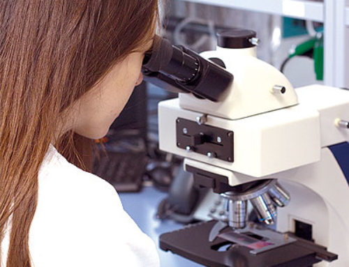 ENSIS Sciences presenta el projecte d’investigació sobre un nou producte Antisalmonel·la basat en bacteriòfags